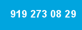 919 273 08 29